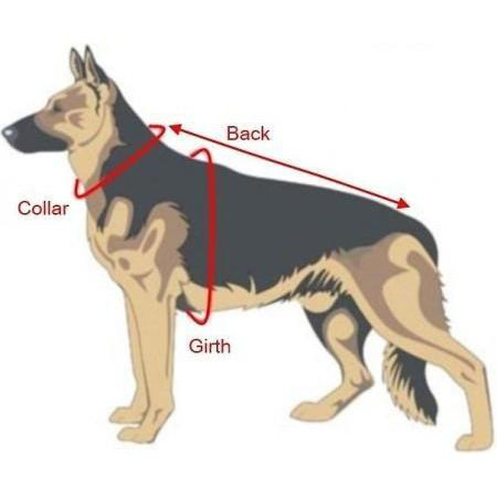 Viper Surge Biothane Working Dog Harness - Brass Hardware Dog Harnesses Dogline