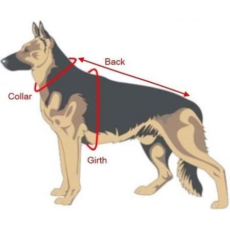 Viper Typhoon Leather Working Dog Harness Harnesses Dogline