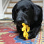 Circular Saw Blade Ultra Durable Nylon Dog Chew Toy Nylon Dog Toys SodaPup/True Dogs, LLC