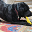 Pipe Wrench Nylon Dog Toy for Aggressive Chewers | USA Made | SodaPup Nylon Dog Toys SodaPup/True Dogs, LLC