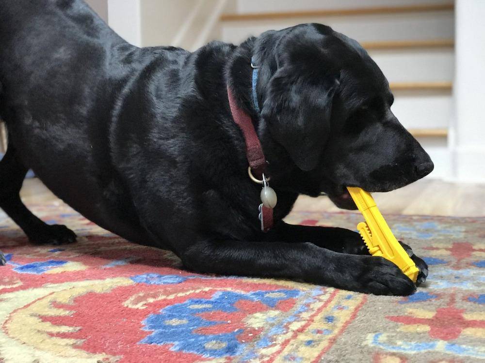 Pipe Wrench Nylon Dog Toy for Aggressive Chewers | USA Made | SodaPup Nylon Dog Toys SodaPup/True Dogs, LLC