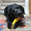 Pipe Wrench Nylon Dog Toy for Aggressive Chewers | USA Made | SodaPup Nylon Dog Toys SodaPup/True Dogs, LLC