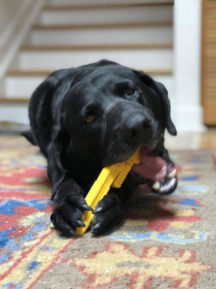 Pipe Wrench Nylon Dog Toy for Aggressive Chewers | USA Made | SodaPup Nylon Dog Toys SodaPup/True Dogs, LLC
