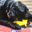 Tractor Nylon Dog Toy for Aggressive Chewers | USA Made | SodaPup Nylon Dog Toys SodaPup/True Dogs, LLC