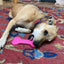 Bone eChew Ultra Durable Nylon Dog Chew Toy for Aggressive Chewers | USA Made Nylon Dog Toys SodaPup/True Dogs, LLC