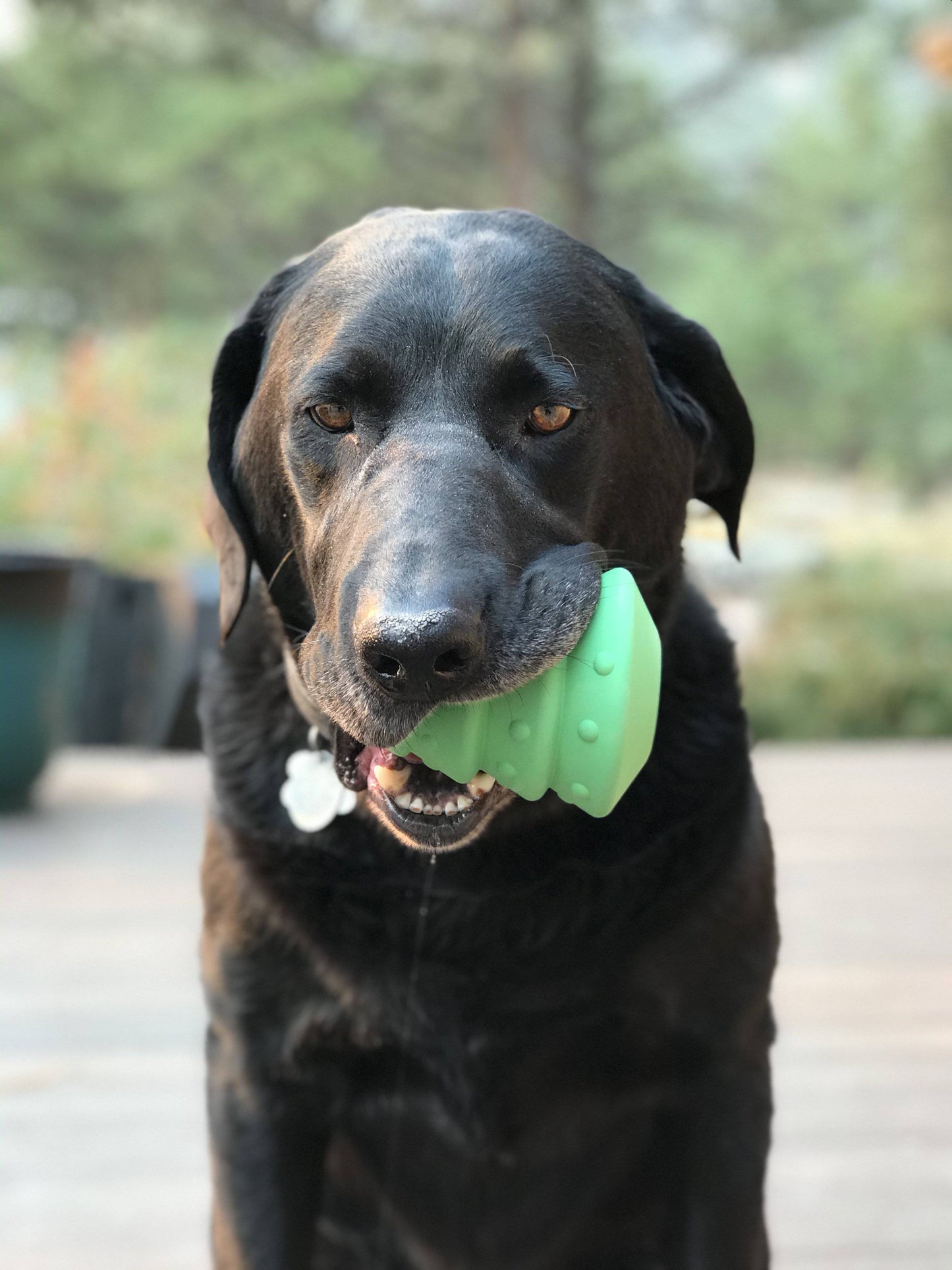 Christmas Tree Dog Toy - Durable Rubber Chew Toy for Large Dogs | USA Made Rubber Dog Toys SodaPup/True Dogs, LLC