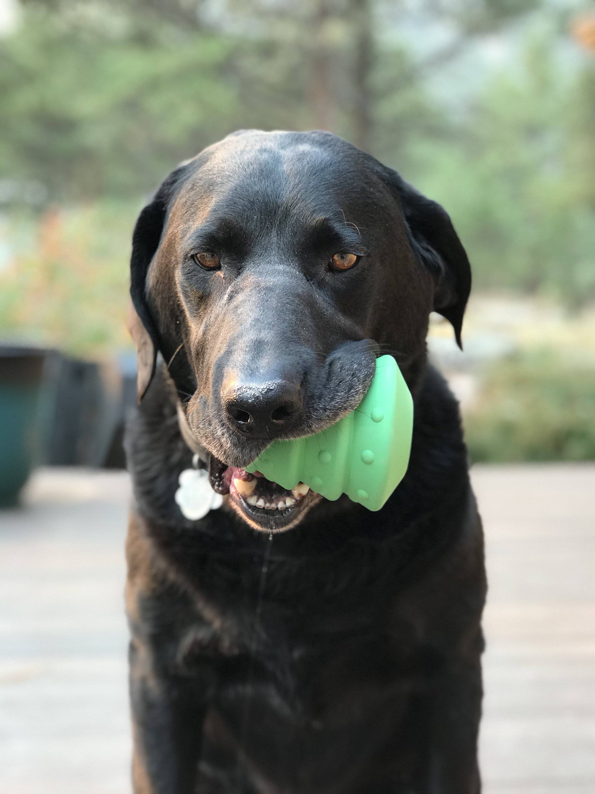 Christmas Tree Dog Toy - Durable Rubber Chew Toy for Large Dogs | USA Made Rubber Dog Toys SodaPup/True Dogs, LLC
