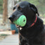 Christmas Tree Dog Toy - Durable Rubber Chew Toy for Large Dogs | USA Made Rubber Dog Toys SodaPup/True Dogs, LLC