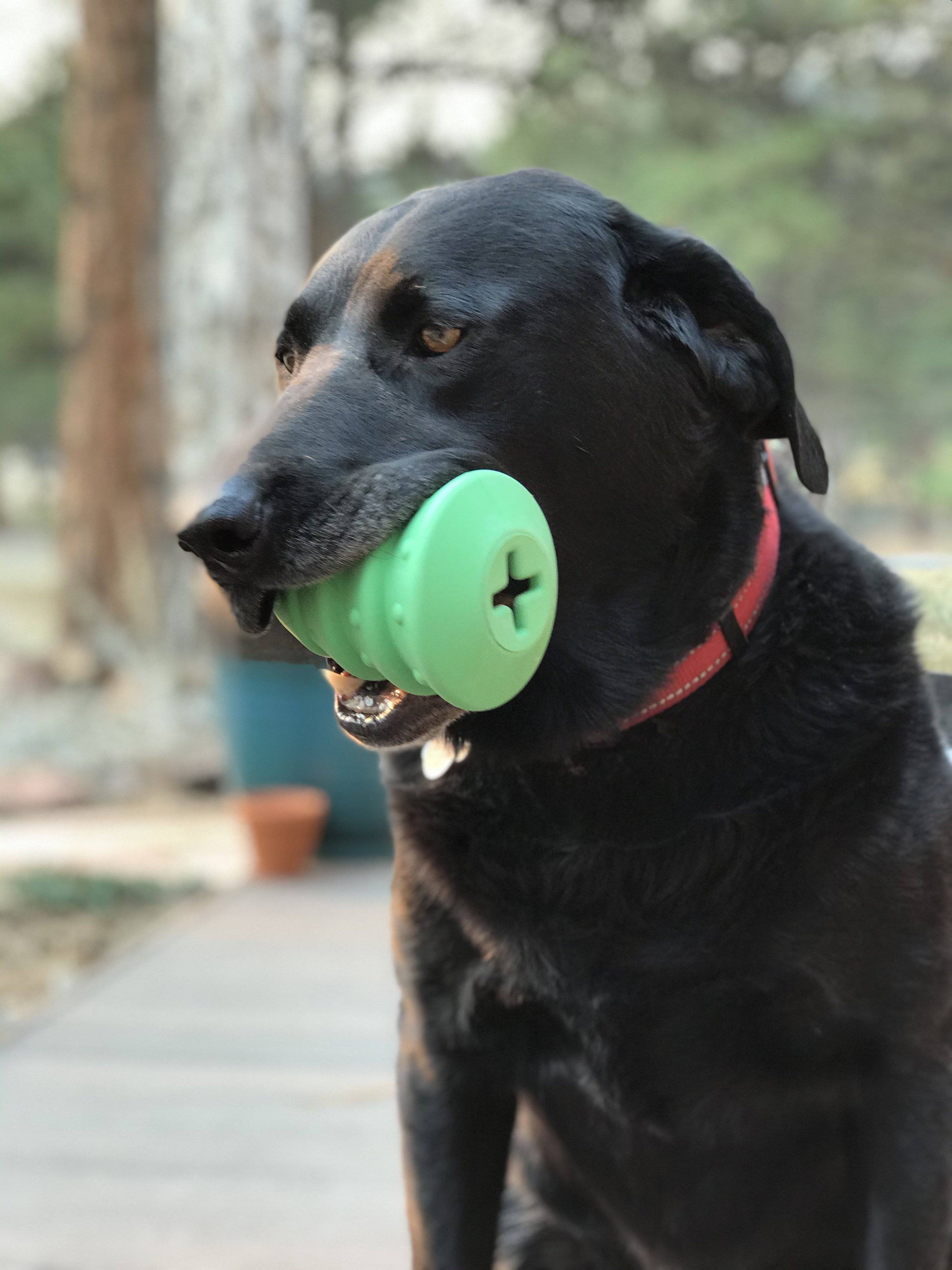 Christmas Tree Dog Toy - Durable Rubber Chew Toy for Large Dogs | USA Made Rubber Dog Toys SodaPup/True Dogs, LLC
