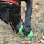 Christmas Tree Dog Toy - Durable Rubber Chew Toy for Large Dogs | USA Made Rubber Dog Toys SodaPup/True Dogs, LLC