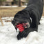 Christmas Tree Nylon Dog Chew Toy for Aggressive Chewers | USA Made & FDA Compliant Nylon Dog Toys SodaPup/True Dogs, LLC