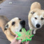 Colorado Maple Leaf Nylon Dog Chew Toy for Aggressive Chewers | USA Made Nylon Dog Toys SodaPup/True Dogs, LLC