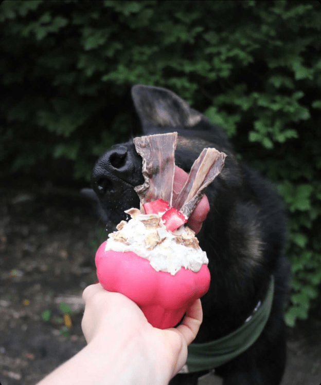 Cupcake eDispenser - Durable Rubber Chew Toy & Treat Dispenser | USA Made Rubber Dog Toys SodaPup/True Dogs, LLC