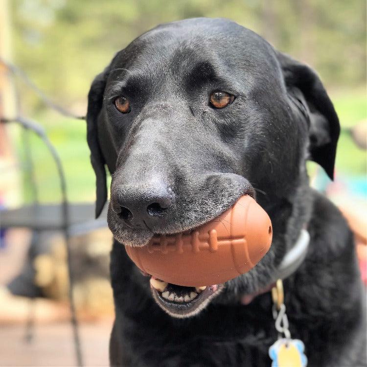 Football Dog Chew Toy & Treat Dispenser - USA Made | SodaPup Rubber Dog Toys SodaPup/True Dogs, LLC