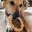 Chicken Flavored Teething Ring for Puppies & Aggressive Chewers | USA Made Nylon Dog Toys SodaPup/True Dogs, LLC