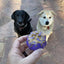 Cross Bones Bully Stick Holder &amp; Chew Toy for Heavy Chewers | Purple | USA Made Rubber Dog Toys SodaPup/True Dogs, LLC