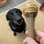Honey Bone Dental Tower Nylon Chew Toy for Aggressive Chewers | USA Made Nylon Dog Toys SodaPup/True Dogs, LLC