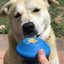 Flying Saucer Dog Toy - Durable UFO Chew Toy & Treat Dispenser | USA Made Rubber Dog Toys SodaPup/True Dogs, LLC