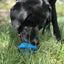 Flying Saucer Dog Toy - Durable UFO Chew Toy & Treat Dispenser | USA Made Rubber Dog Toys SodaPup/True Dogs, LLC