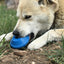 Flying Saucer Dog Toy - Durable UFO Chew Toy & Treat Dispenser | USA Made Rubber Dog Toys SodaPup/True Dogs, LLC