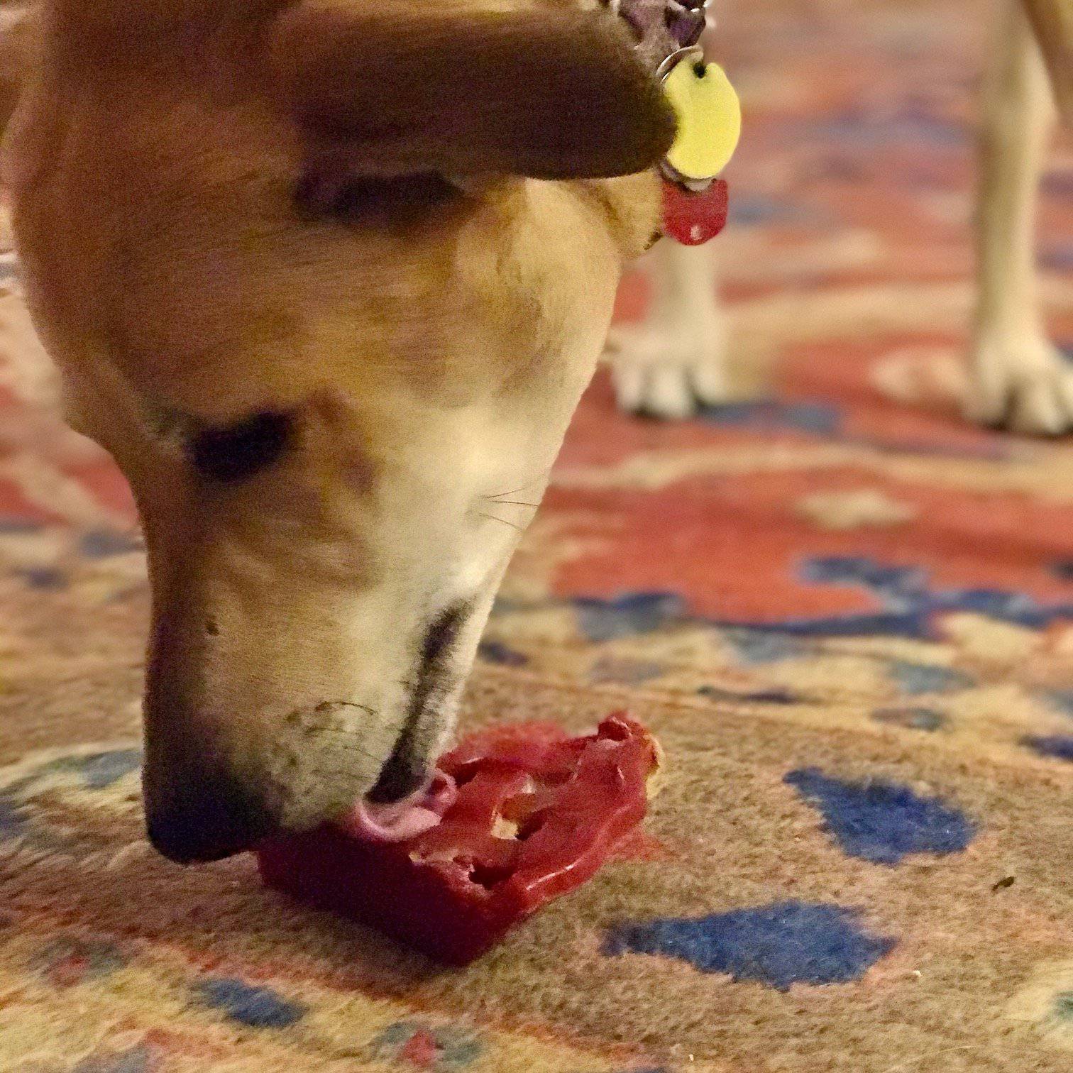 Cherry Pie Nylon Dog Chew Toy for Aggressive Chewers | USA Made | SodaPup Nylon Dog Toys SodaPup/True Dogs, LLC
