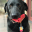 Cherry Pie Nylon Dog Chew Toy for Aggressive Chewers | USA Made | SodaPup Nylon Dog Toys SodaPup/True Dogs, LLC