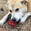 Cherry Pie Nylon Dog Chew Toy for Aggressive Chewers | USA Made | SodaPup Nylon Dog Toys SodaPup/True Dogs, LLC