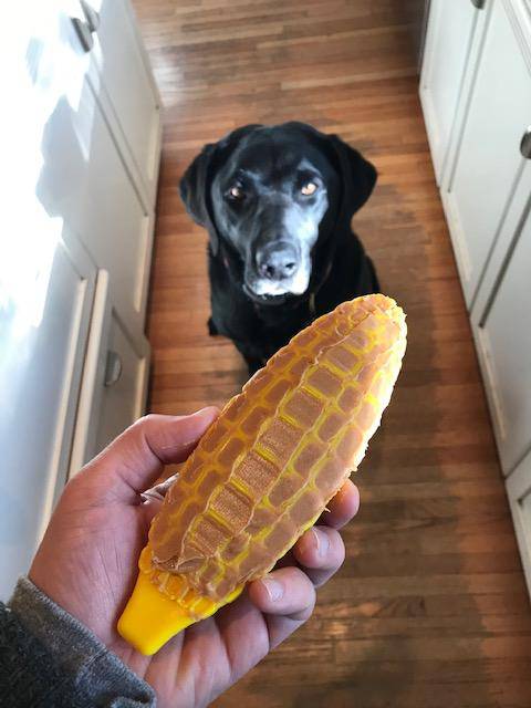 Corn on the Cob Nylon Dog Toy for Aggressive Chewers | USA Made | SodaPup Nylon Dog Toys SodaPup/True Dogs, LLC