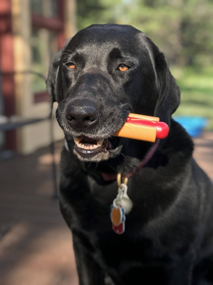Hot Dog Nylon Dog Toy for Aggressive Chewers | USA Made | SodaPup Nylon Dog Toys SodaPup/True Dogs, LLC