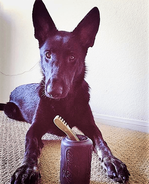 Magnum Can Toy Rubber Dog Chew Toy for Extreme Chewers | Treat Dispenser | USA Made Rubber Dog Toys SodaPup/True Dogs, LLC
