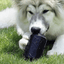 Magnum Can Toy Rubber Dog Chew Toy for Extreme Chewers | Treat Dispenser | USA Made Rubber Dog Toys SodaPup/True Dogs, LLC