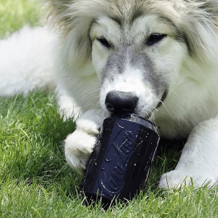Magnum Can Toy Rubber Dog Chew Toy for Extreme Chewers | Treat Dispenser | USA Made Rubber Dog Toys SodaPup/True Dogs, LLC