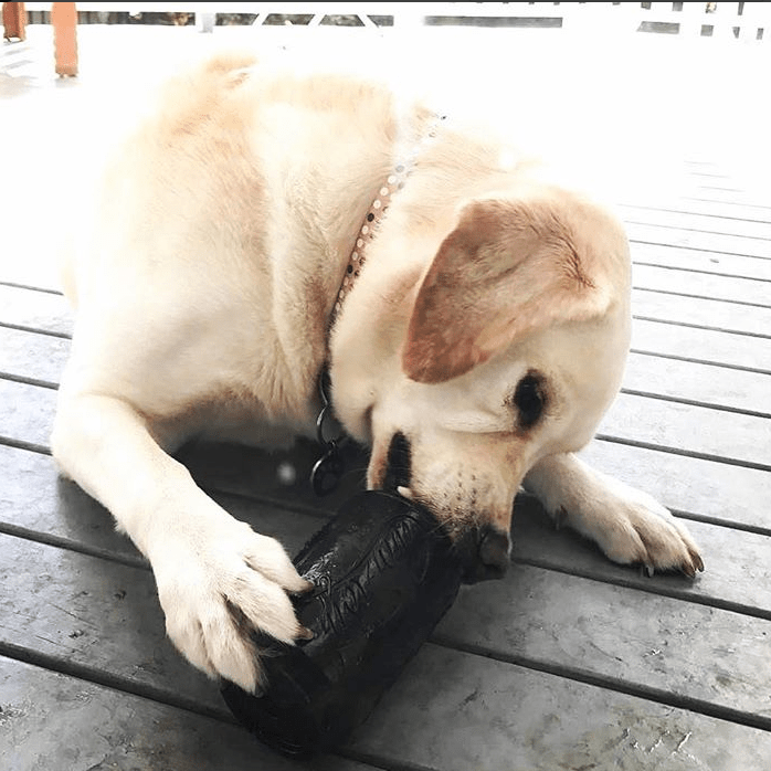 Magnum Can Toy Rubber Dog Chew Toy for Extreme Chewers | Treat Dispenser | USA Made Rubber Dog Toys SodaPup/True Dogs, LLC