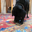 Peanut Nylon Dog Chew Toy | Ultra-Durable for Aggressive Chewers | SodaPup Nylon Dog Toys SodaPup/True Dogs, LLC