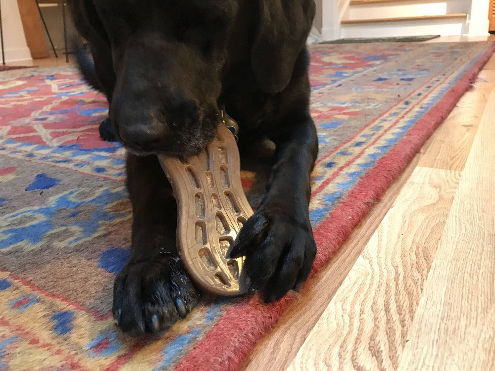 Peanut Nylon Dog Chew Toy | Ultra-Durable for Aggressive Chewers | SodaPup Nylon Dog Toys SodaPup/True Dogs, LLC