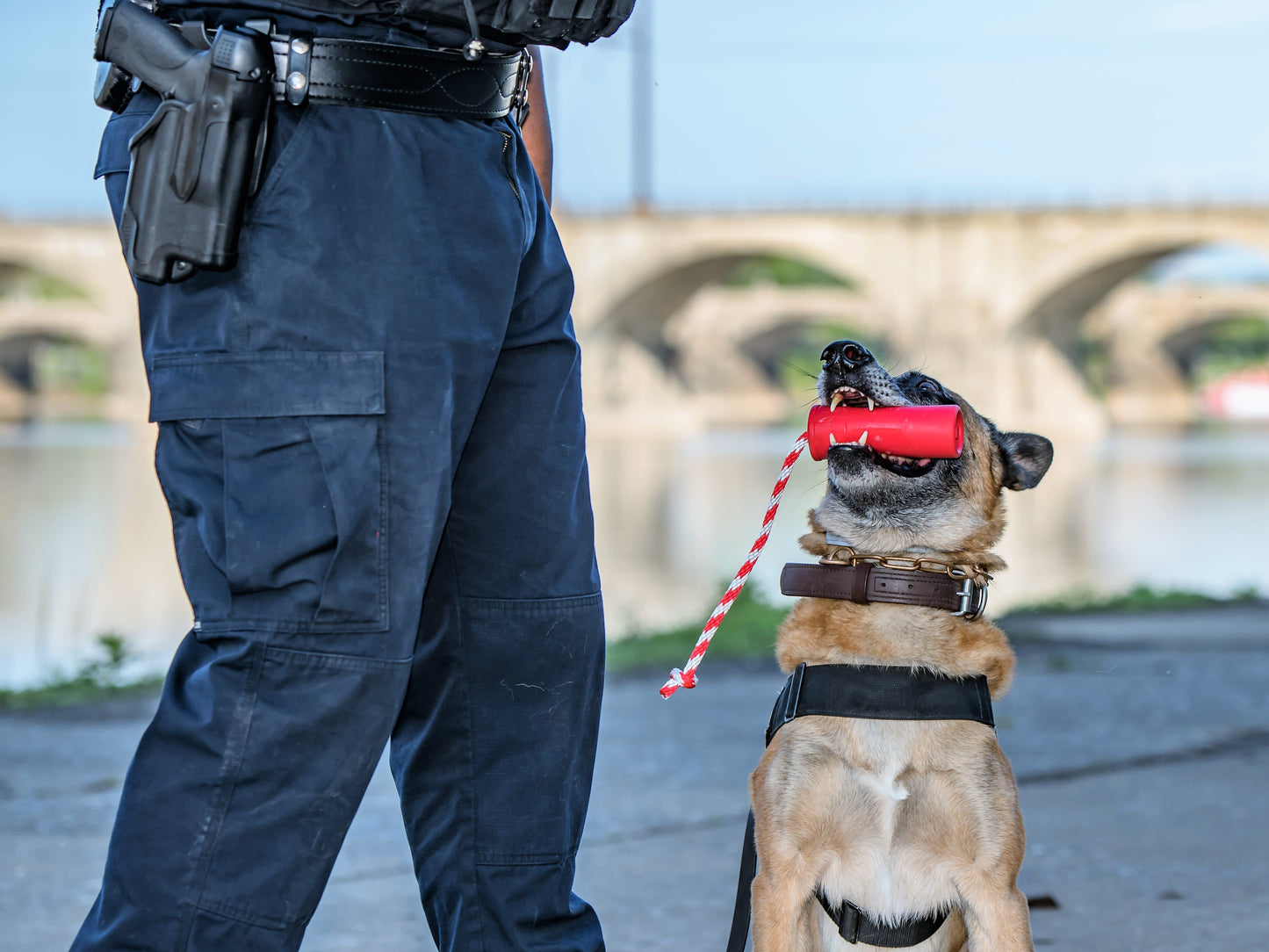 USA-K9 Firecracker Floating Training Dummy | K9 Handler Reward Toy | Red | USA Made Rubber Dog Toys SodaPup/True Dogs, LLC