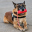 USA-K9 Firecracker Floating Training Dummy | K9 Handler Reward Toy | Red | USA Made Rubber Dog Toys SodaPup/True Dogs, LLC