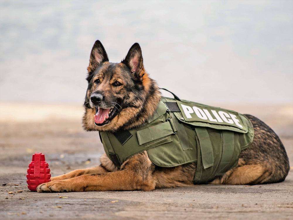 USA-K9 Grenade Rubber Dog Chew Toy | K9 Handler eDispenser Toy | Red & Blue | USA Made Rubber Dog Toys SodaPup/True Dogs, LLC