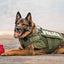 USA-K9 Grenade Shaped eDispenser Durable Dog Chew Toy & Treat Dispenser - Magnum Black