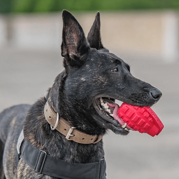 USA-K9 Grenade Rubber Dog Chew Toy | K9 Handler eDispenser Toy | Red & Blue | USA Made Rubber Dog Toys SodaPup/True Dogs, LLC