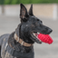 USA-K9 Grenade Shaped eDispenser Durable Dog Chew Toy & Treat Dispenser - Magnum Black