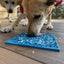 Jigsaw Puzzle eMat - Enrichment Lick Mat for Dogs and Cats | eMat Enrichment Toy for Anxiety Relief | USA Made EMAT SodaPup/True Dogs, LLC