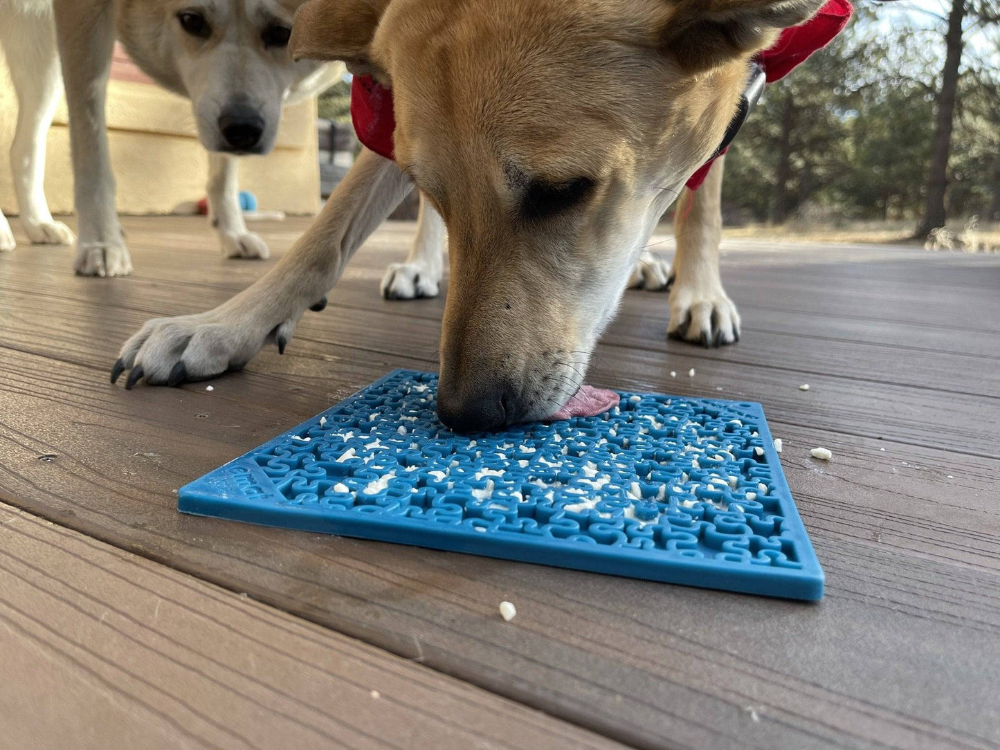 Jigsaw Puzzle eMat - Enrichment Lick Mat for Dogs and Cats | eMat Enrichment Toy for Anxiety Relief | USA Made EMAT SodaPup/True Dogs, LLC