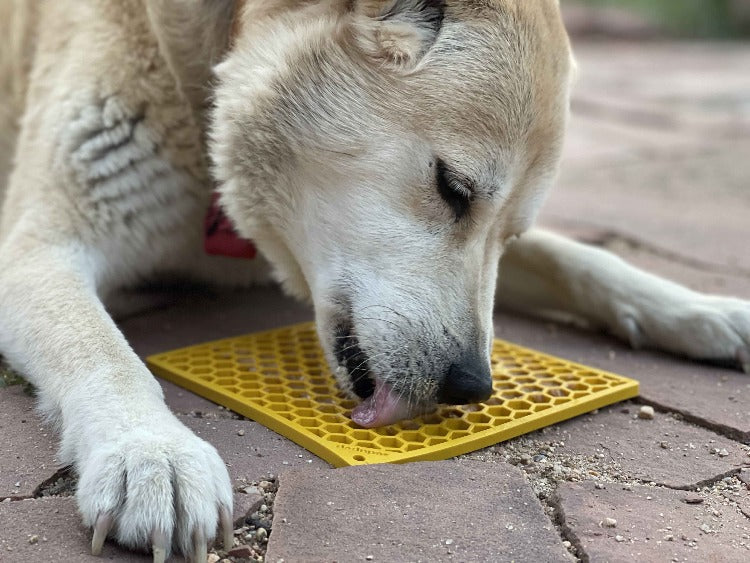 Honeycomb eMat - Enrichment Lick Mat for Dogs and Cats | eMat Enrichment Toy for Anxiety Relief | SodaPup EMAT SodaPup/True Dogs, LLC