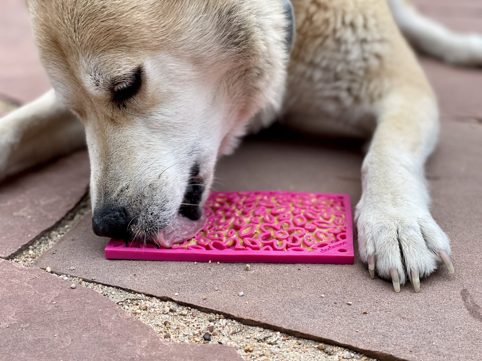 Flower Power emat - Enrichment Lick Mat for Dogs and Cats | Flower Design | USA Made EMAT SodaPup/True Dogs, LLC