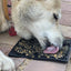 Zombie eMat - Enrichment Lick Mat for Dogs and Cats | Halloween Skull Design | SodaPup EMAT SodaPup/True Dogs, LLC