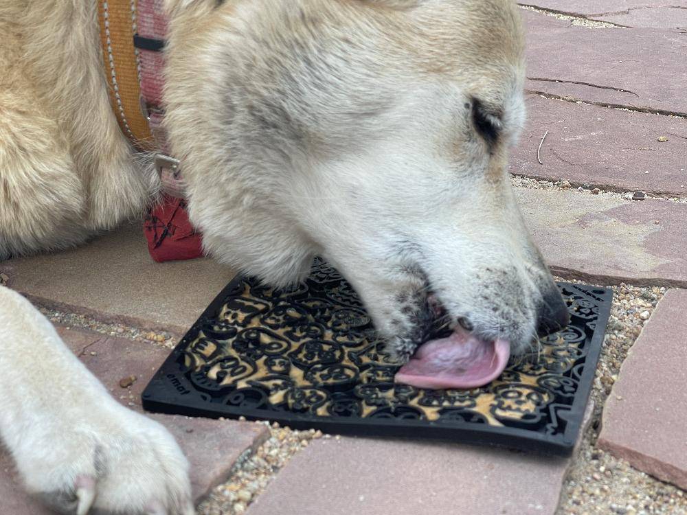 Zombie eMat - Enrichment Lick Mat for Dogs and Cats | Halloween Skull Design | SodaPup EMAT SodaPup/True Dogs, LLC
