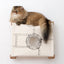 Enclosed Cat Bed - Cat Wall Cubby Catastrophic Creations