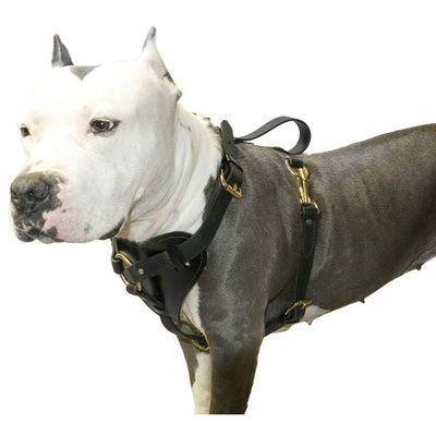 Viper Surge Biothane Working Dog Harness - Brass Hardware Dog Harnesses Dogline