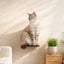 Cat Climbing Shelf Cat shelves/bed Catastrophic Creations